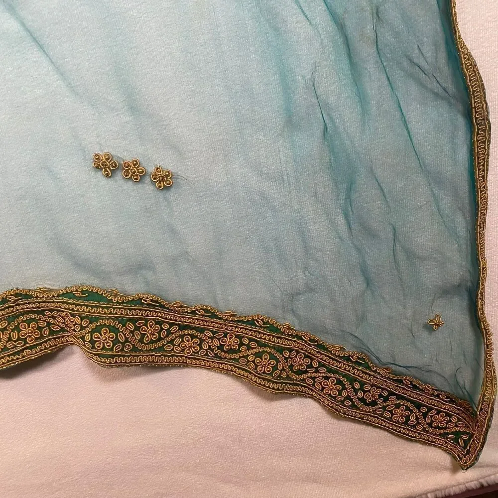 Indian Dupatta Chunni Mint Green Sheer Net Gold Zari Embroidery Scarf Shawl